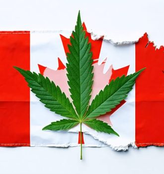 Conceptual image of a Canadian flag and medical cannabis leaf intertwining, representing the integration of cannabis in Canadian healthcare for international medical graduates.