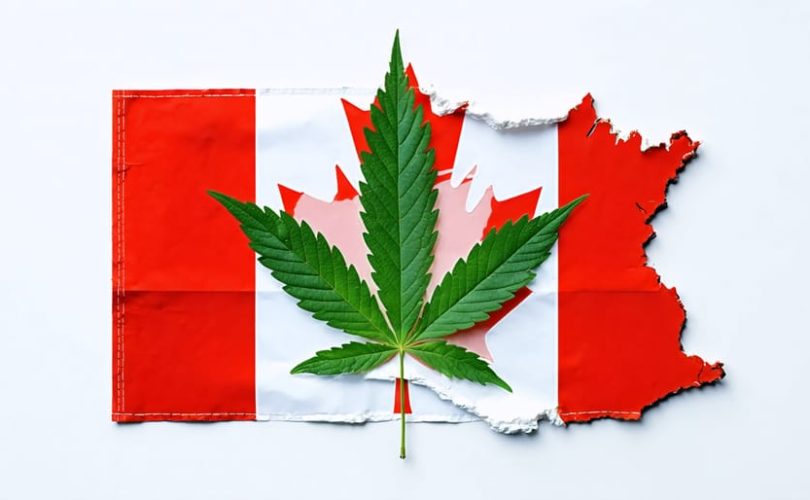 Conceptual image of a Canadian flag and medical cannabis leaf intertwining, representing the integration of cannabis in Canadian healthcare for international medical graduates.